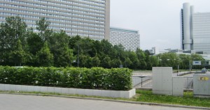 An den Tunneleingängen beim Effnerplatz hat das Gartenbauamt quasi als Sichtschutz „Buchen-hecken in Hochbeeten“ gepflanzt.
