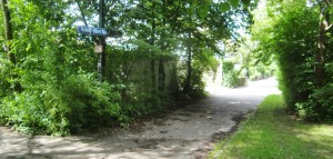 Keine Angelegenheit der Lokalpolitik, vielmehr eine Zivilstreitigkeit sind die Probleme zwischen Anwohnern des Adolf-Oberländer-Wegs und einigen uneinsichtigen Hundebesitzern, die ihre Vierbeiner selbst in die Vorgärten der Reihenhäuser laufen lassen.     Foto: hgb